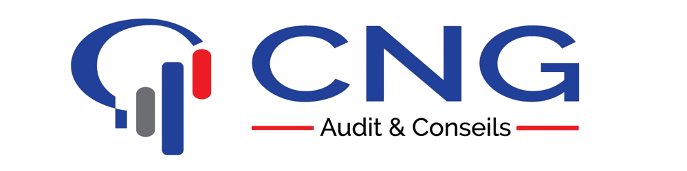 CNG-Audit & Conseils